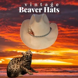 Vintage 1990 Beaver Hats Panacool Straw Western Hat